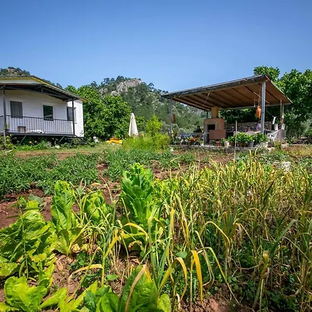 Nature Bungalovs Orhaniye Διαμέρισμα *