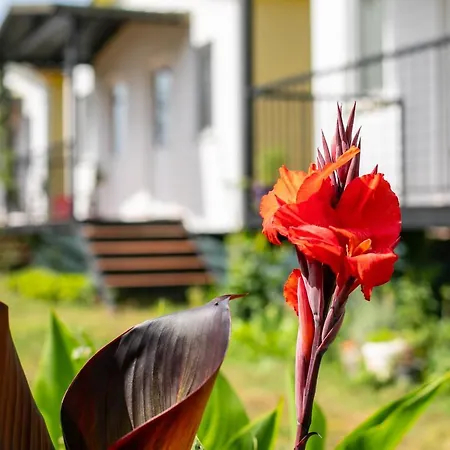 Nature Bungalovs Orhaniye Orhaniye (Marmaris)
